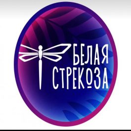 Заведение Караоке Белая Стрекоза