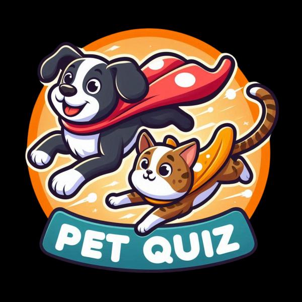 Квиз Pet Quiz Благотворительный квиз на логику